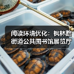 阅读环境优化:枫林路街道公共图书馆展览厅家具设计(图3) 阅读环境优化:枫林路街道公共图书馆展览厅家具设计(图3)