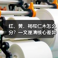 红、黄、褐榄仁木怎么分？一文厘清核心差异与应用边界（图2）