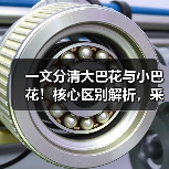 一文分清大巴花与小巴花！核心区别解析，采购避坑必看