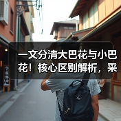 一文分清大巴花与小巴花！核心区别解析，采购避坑必看（图4）