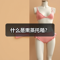 什么是熏蒸托箱？（图2）