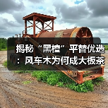 揭秘“黑檀”平替优选:风车木为何成大板茶桌高端材质新宠?(图4) 揭秘“黑檀”平替优选:风车木为何成大板茶桌高端材质新宠?(图4)