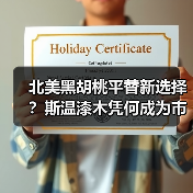 北美黑胡桃平替新选择？斯温漆木凭何成为市场新宠（图2）