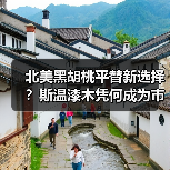北美黑胡桃平替新选择？斯温漆木凭何成为市场新宠