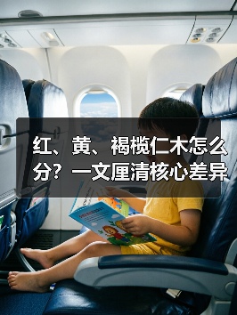 红、黄、褐榄仁木怎么分？一文厘清核心差异与应用边界（图4）