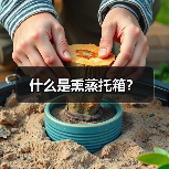 什么是熏蒸托箱？
