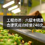 工程奇迹：六层木钢混合建筑成功经受240次地震模拟（图3）