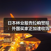 日本林业报告拉响警报:外国买家正加速收购本土森林(图2) 日本林业报告拉响警报:外国买家正加速收购本土森林(图2)