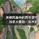关税风暴中的百年坚守：加拿大最后一家木制曲棍球棒厂的生存战