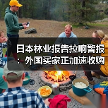 日本林业报告拉响警报:外国买家正加速收购本土森林(图4) 日本林业报告拉响警报:外国买家正加速收购本土森林(图4)