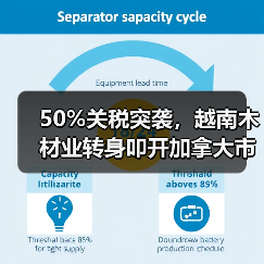 50%关税突袭，越南木材业转身叩开加拿大市场大门（图4）