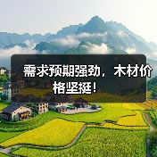 需求预期强劲，木材价格坚挺！（图4）