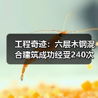 工程奇迹：六层木钢混合建筑成功经受240次地震模拟（图2）