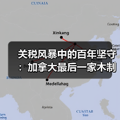 关税风暴中的百年坚守：加拿大最后一家木制曲棍球棒厂的生存战（图2）