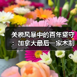 关税风暴中的百年坚守：加拿大最后一家木制曲棍球棒厂的生存战（图4）