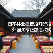 日本林业报告拉响警报:外国买家正加速收购本土森林(图1) 日本林业报告拉响警报:外国买家正加速收购本土森林(图1)