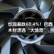 惊现暴跌60.4%!巴西木材遭遇“大地震”,中国买家首当其冲?(图1) 惊现暴跌60.4%!巴西木材遭遇“大地震”,中国买家首当其冲?(图1)