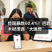惊现暴跌60.4%!巴西木材遭遇“大地震”,中国买家首当其冲?(图4) 惊现暴跌60.4%!巴西木材遭遇“大地震”,中国买家首当其冲?(图4)