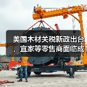 美国木材关税新政出台，宜家等零售商面临成本激增挑战（图3）