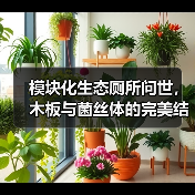 模块化生态厕所问世，木板与菌丝体的完美结合实现离网卫生处理
