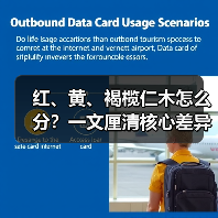 红、黄、褐榄仁木怎么分?一文厘清核心差异与应用边界(图4) 红、黄、褐榄仁木怎么分?一文厘清核心差异与应用边界(图4)