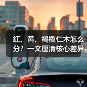 红、黄、褐榄仁木怎么分?一文厘清核心差异与应用边界(图3) 红、黄、褐榄仁木怎么分?一文厘清核心差异与应用边界(图3)
