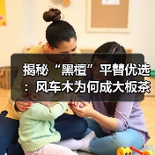 揭秘“黑檀”平替优选:风车木为何成大板茶桌高端材质新宠?(图1) 揭秘“黑檀”平替优选:风车木为何成大板茶桌高端材质新宠?(图1)