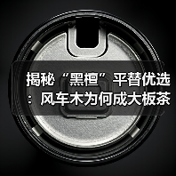 揭秘“黑檀”平替优选:风车木为何成大板茶桌高端材质新宠?(图4) 揭秘“黑檀”平替优选:风车木为何成大板茶桌高端材质新宠?(图4)
