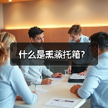 什么是熏蒸托箱?(图1) 什么是熏蒸托箱?(图1)
