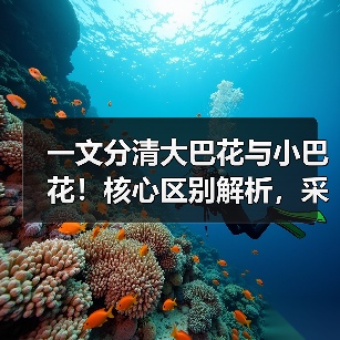 一文分清大巴花与小巴花!核心区别解析,采购避坑必看(图3) 一文分清大巴花与小巴花!核心区别解析,采购避坑必看(图3)