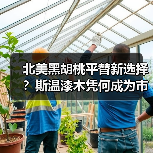 北美黑胡桃平替新选择?斯温漆木凭何成为市场新宠(图2) 北美黑胡桃平替新选择?斯温漆木凭何成为市场新宠(图2)
