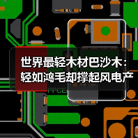 世界最轻木材巴沙木：轻如鸿毛却撑起风电产业半边天（图2）