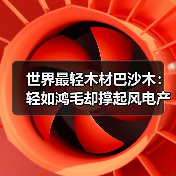 世界最轻木材巴沙木：轻如鸿毛却撑起风电产业半边天