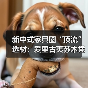 新中式家具圈“顶流”选材：爱里古夷苏木凭什么圈粉无数？（图3）