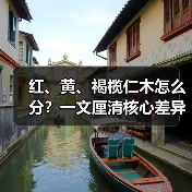 红、黄、褐榄仁木怎么分?一文厘清核心差异与应用边界(图4) 红、黄、褐榄仁木怎么分?一文厘清核心差异与应用边界(图4)