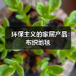 环保主义的家居产品：布织地毯（图4）