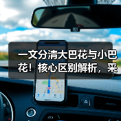 一文分清大巴花与小巴花!核心区别解析,采购避坑必看(图3) 一文分清大巴花与小巴花!核心区别解析,采购避坑必看(图3)
