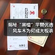 揭秘“黑檀”平替优选:风车木为何成大板茶桌高端材质新宠?(图4) 揭秘“黑檀”平替优选:风车木为何成大板茶桌高端材质新宠?(图4)