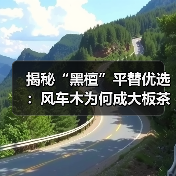 揭秘“黑檀”平替优选:风车木为何成大板茶桌高端材质新宠?(图2) 揭秘“黑檀”平替优选:风车木为何成大板茶桌高端材质新宠?(图2)