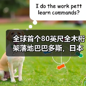 全球首个80英尺全木桁架落地巴巴多斯,日本古法工艺实现零金属连接(图3) 全球首个80英尺全木桁架落地巴巴多斯,日本古法工艺实现零金属连接(图3)