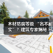 木材防腐等级 “名不副实”?建筑专家揭秘 H3 失效背后的设计危机(图4) 木材防腐等级 “名不副实”?建筑专家揭秘 H3 失效背后的设计危机(图4)