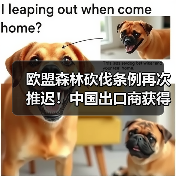 欧盟森林砍伐条例再次推迟！中国出口商获得“喘息之机”？（图2）