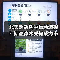 北美黑胡桃平替新选择?斯温漆木凭何成为市场新宠(图4) 北美黑胡桃平替新选择?斯温漆木凭何成为市场新宠(图4)