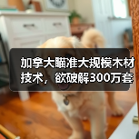 加拿大瞄准大规模木材技术,欲破解300万套住房短缺难题(图1) 加拿大瞄准大规模木材技术,欲破解300万套住房短缺难题(图1)