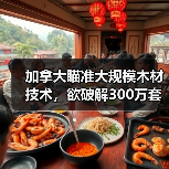 加拿大瞄准大规模木材技术,欲破解300万套住房短缺难题(图4) 加拿大瞄准大规模木材技术,欲破解300万套住房短缺难题(图4)