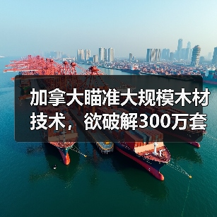 加拿大瞄准大规模木材技术,欲破解300万套住房短缺难题(图3) 加拿大瞄准大规模木材技术,欲破解300万套住房短缺难题(图3)