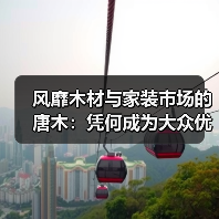 风靡木材与家装市场的唐木：凭何成为大众优选材种？（图4）