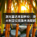 激光雷达革新林业：澳大利亚实现单木清单数字化管理（图3）
