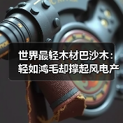 世界最轻木材巴沙木:轻如鸿毛却撑起风电产业半边天(图4) 世界最轻木材巴沙木:轻如鸿毛却撑起风电产业半边天(图4)