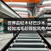世界最轻木材巴沙木:轻如鸿毛却撑起风电产业半边天(图3) 世界最轻木材巴沙木:轻如鸿毛却撑起风电产业半边天(图3)